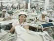 TCM vượt 30% kế hoạch Kl99 nổ hũ năm